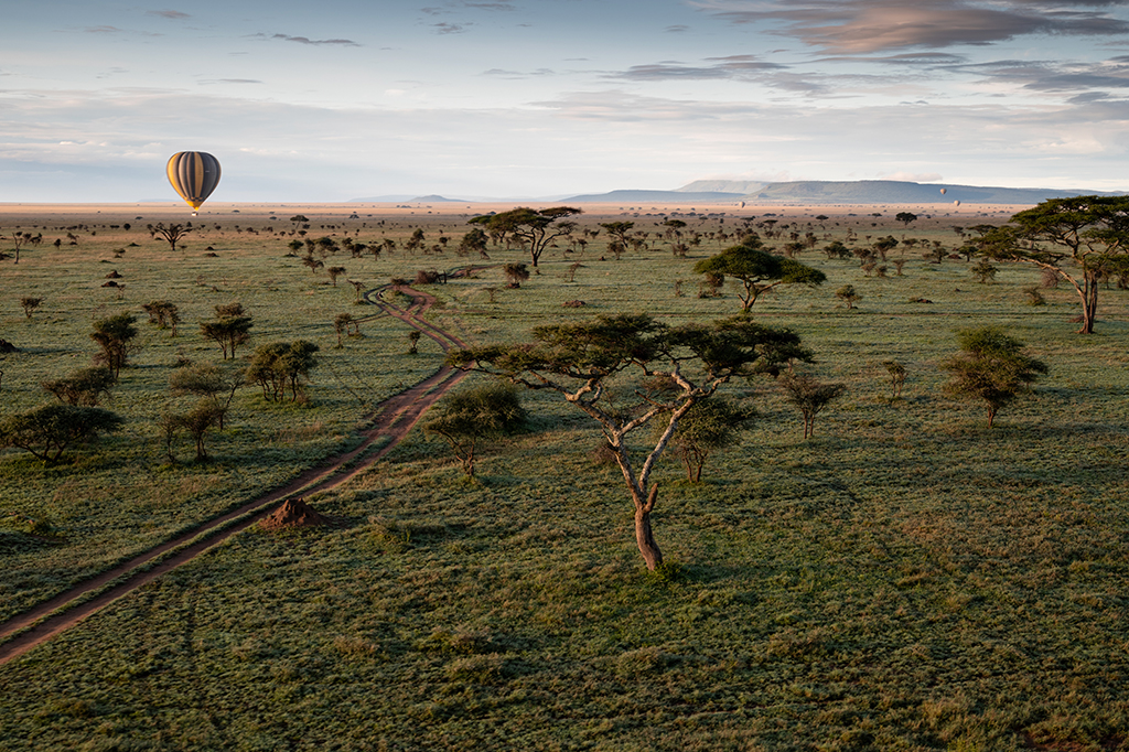 Aerial view of serengeti landscape, tanzania