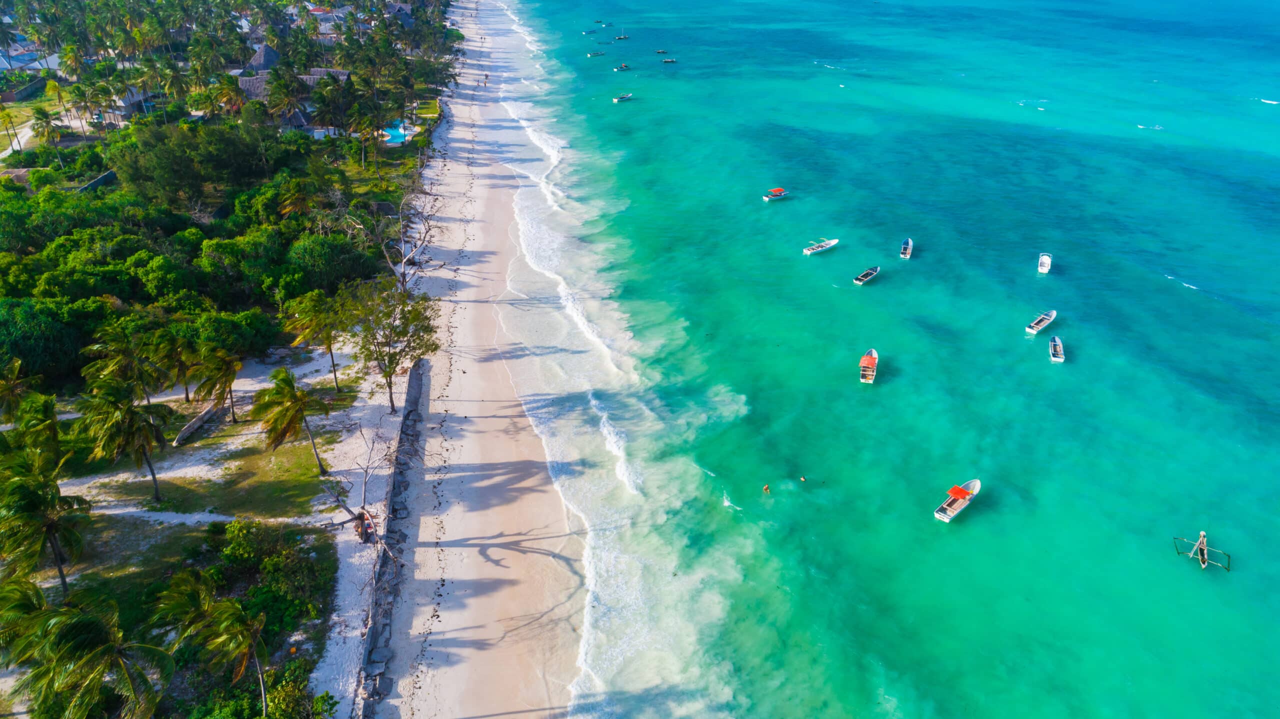 Vue aérienne de la plage de Paje Zanzibar