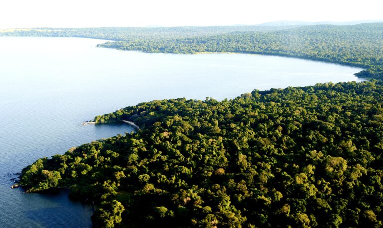 Luftaufnahme des Rubondo Island Nationalparks