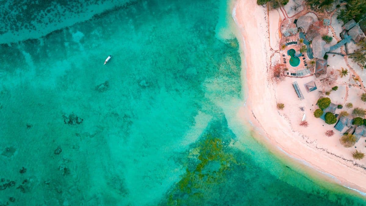 Aerial view of a small, densely forested island surrounded by clear turquoise waters. The coastline is rocky, and the ocean floor is visible beneath the water. The islands lush greenery contrasts with the vibrant blue sea. - Easy Travel Tanzania