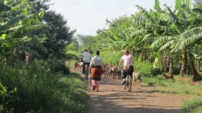 In bicicletta nel villaggio di mto wa mbu