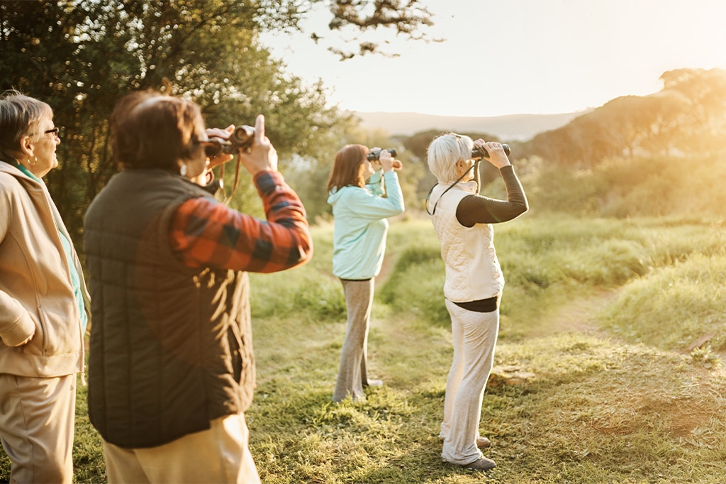 坦桑尼亚米库米国家公园观鸟