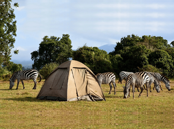 Tansania – preisgünstige Camping-Safari in Tansania Easy Travel Tansania 2 – preisgünstige Safari