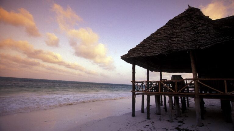 Une cabane en bois au toit de chaume se dresse sur pilotis au bord d'une plage de sable. L'océan est calme et le ciel est voilé de doux nuages. Le soleil projette une douce lueur sur le paysage, créant une atmosphère tropicale et paisible. - Easy Travel Tanzania