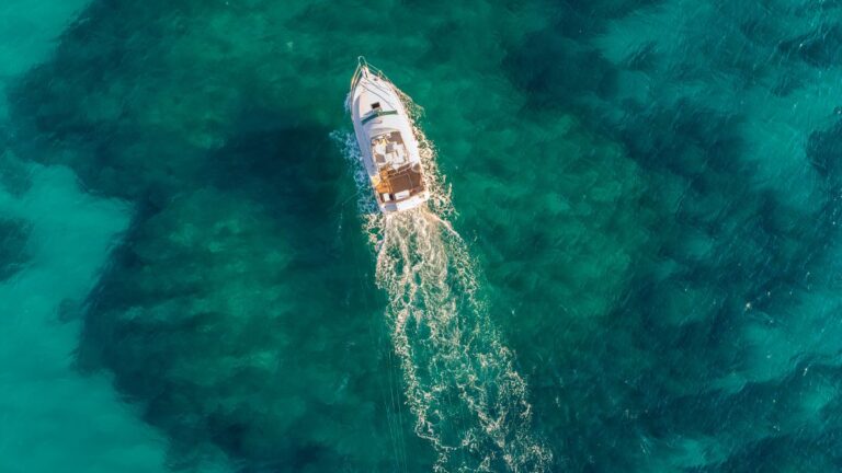 Chapwani Island tours and activities