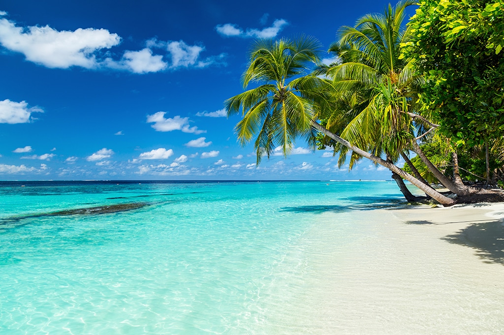 Experience the allure of Mnemba Islands tropical beach, where white sand meets turquoise waters and palm trees lean elegantly. The sky is a clear blue canvas, dotted with a few scattered clouds, creating a perfect paradise. - Easy Travel Tanzania