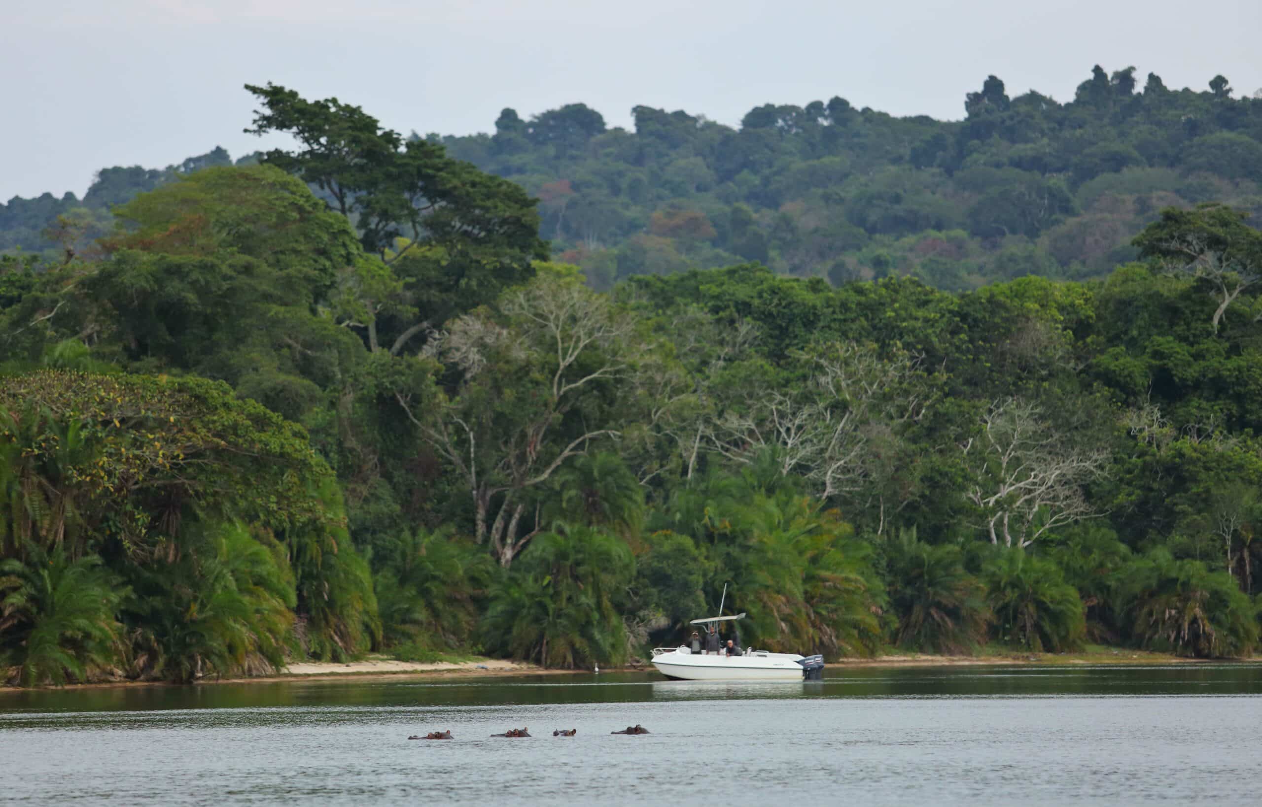 clear waters and diverse ecosystems at Rubondo Island National Park