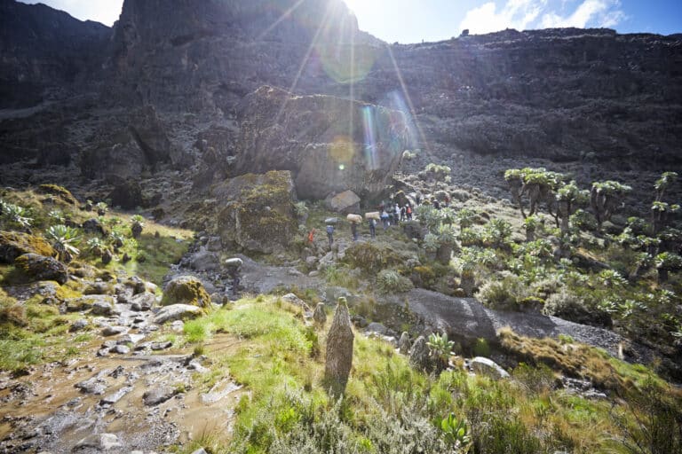 Escaladores escalando a través del muro de barranco a través de la ruta machame en el monte kilimanjaro