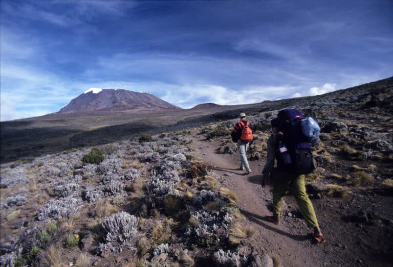 Bergsteiger wandern über die Marangu-Route auf den Kilimandscharo