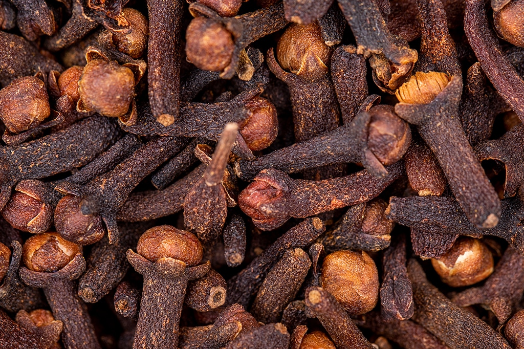 Närbild av kryddnejlikor