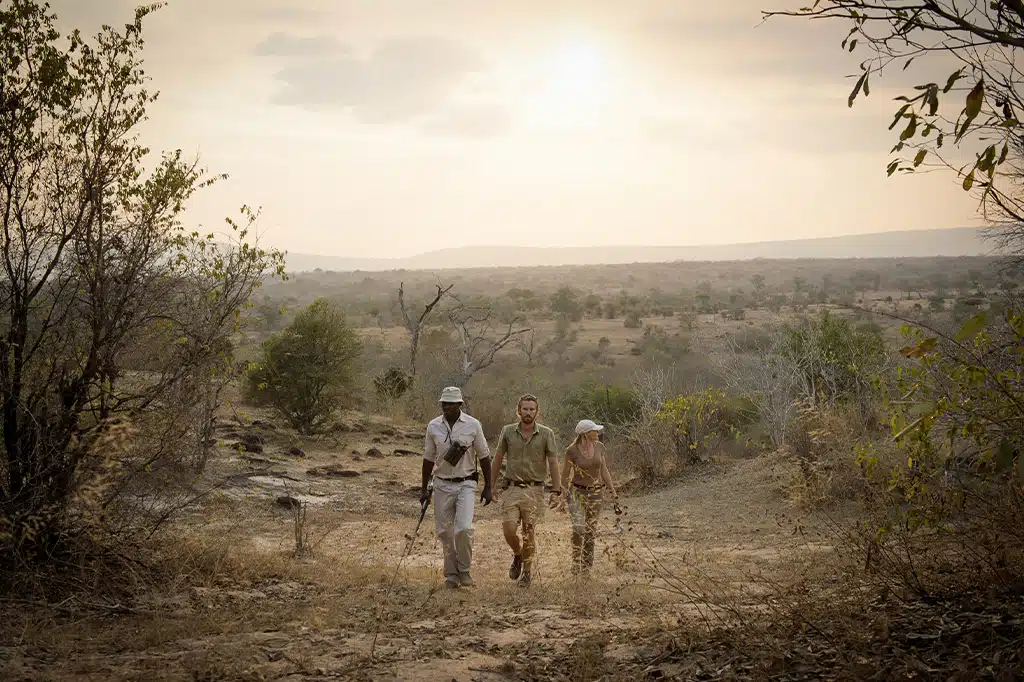Begeleide wandelsafari voor koppels Ruaha National Park Tanzania.jpg Begeleide wandelsafari voor koppels Ruaha National Park Tanzania.jpg