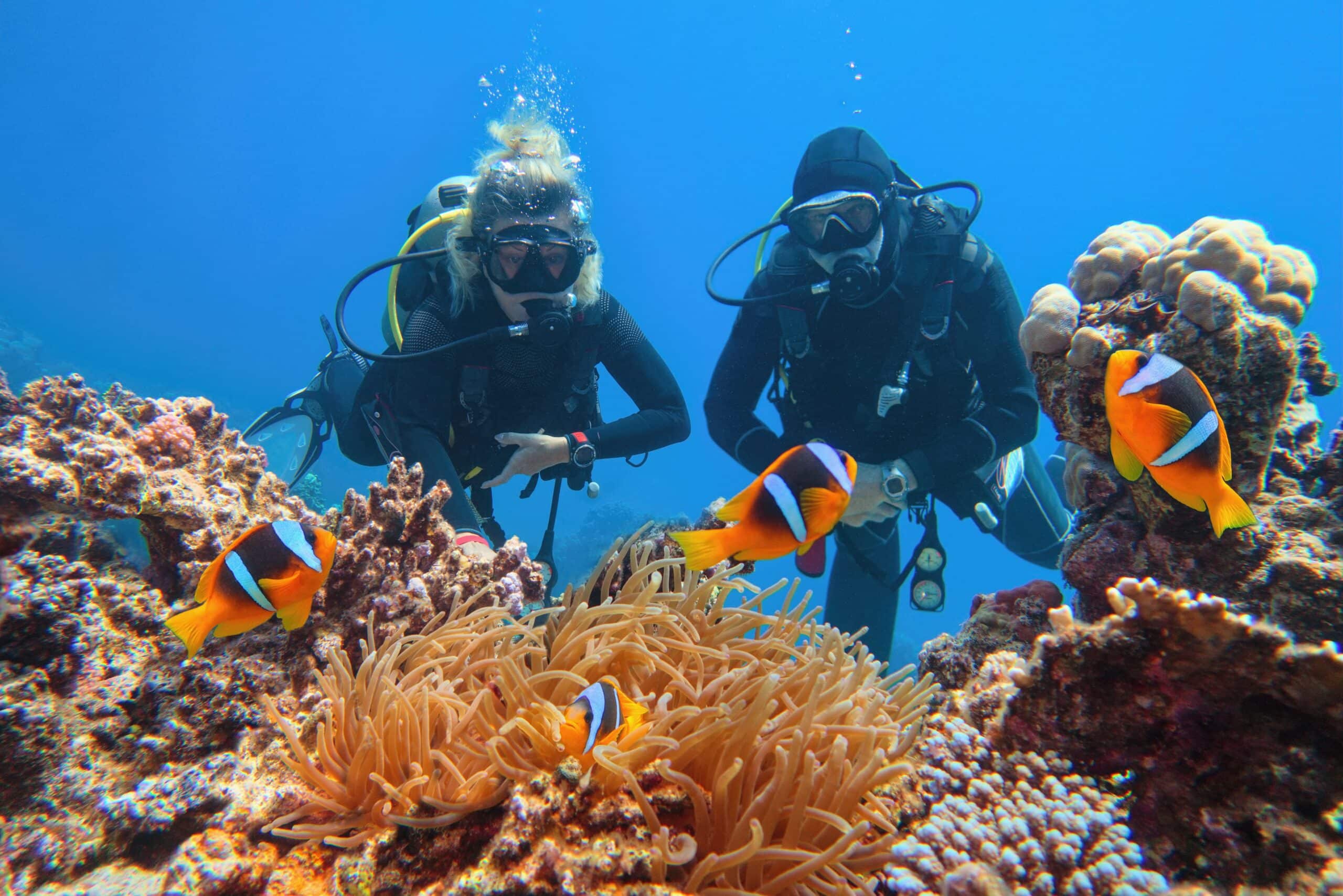par dykare som utforskar undervattensskönheten på Lazy Lagoon Island