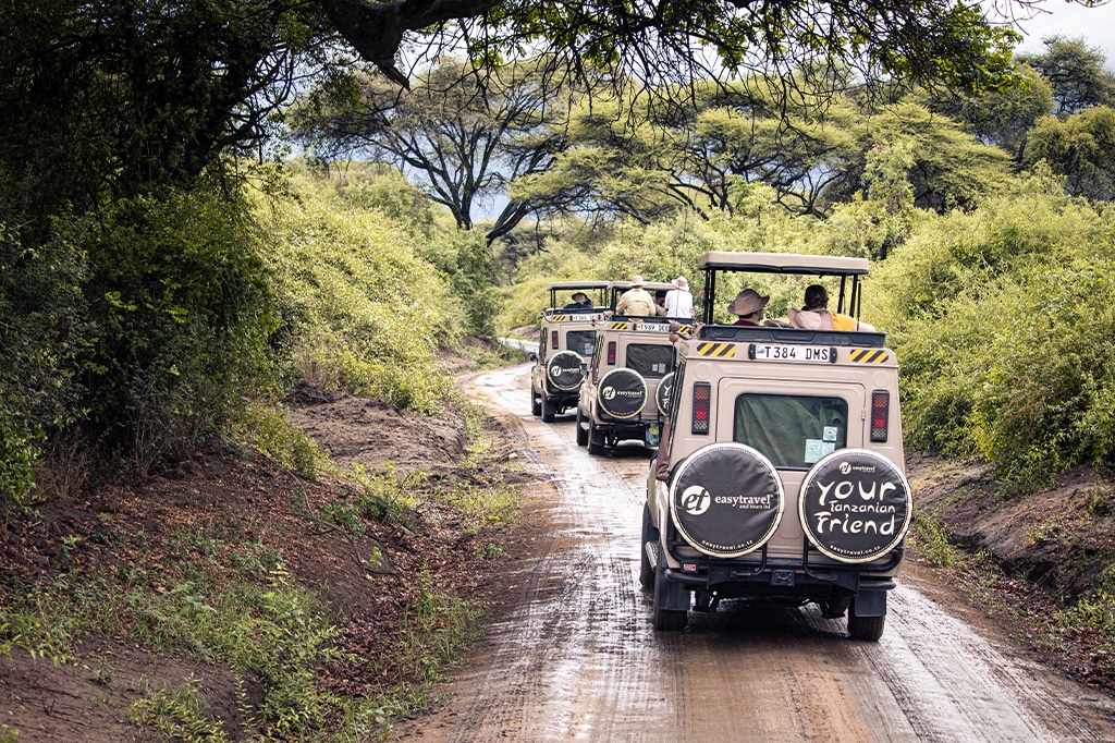 Easy Travel safari vehicles inside Lake Manyara National Park, Tanzania