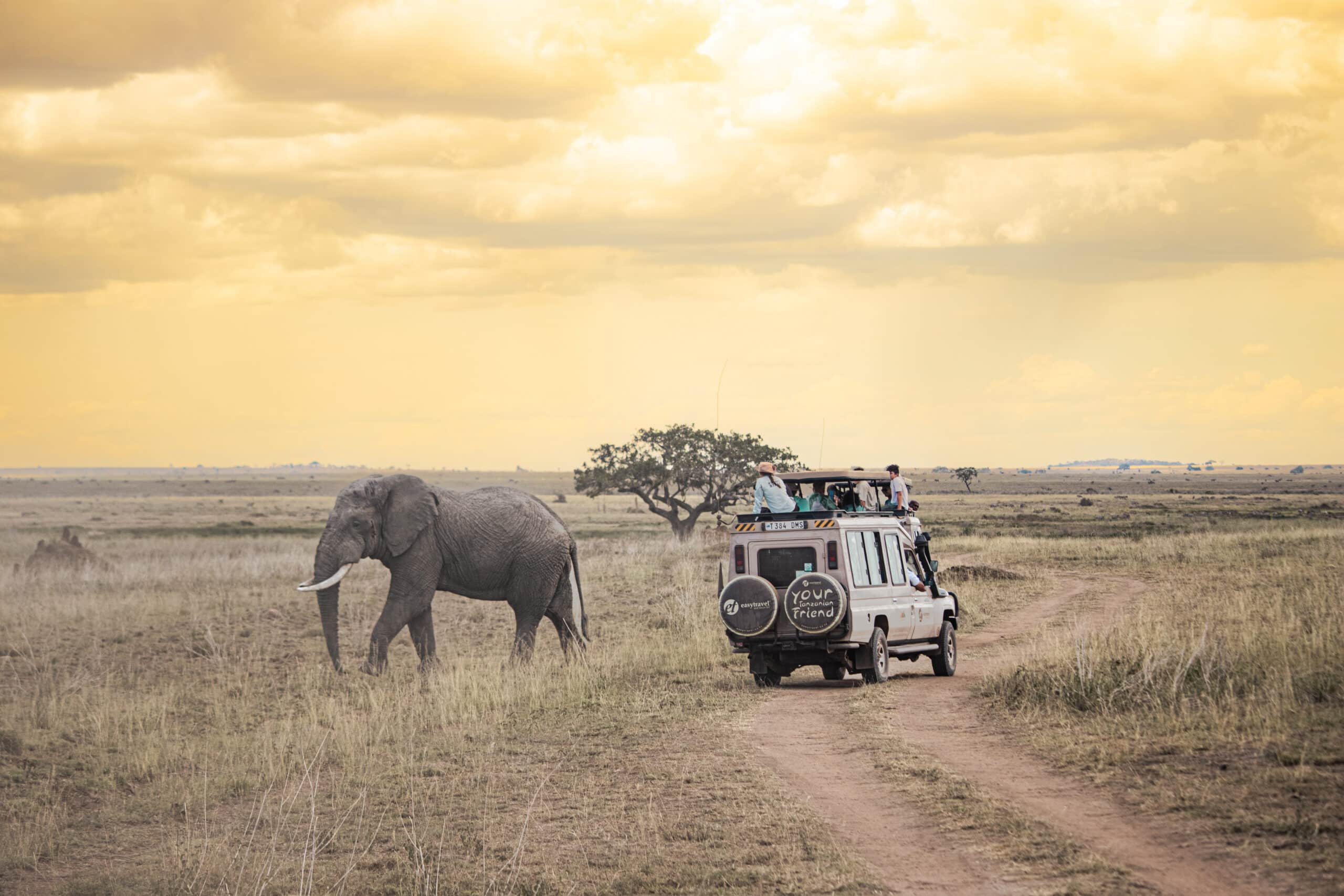 Easy Travel guest enjoying game drives in Serengeti National Park