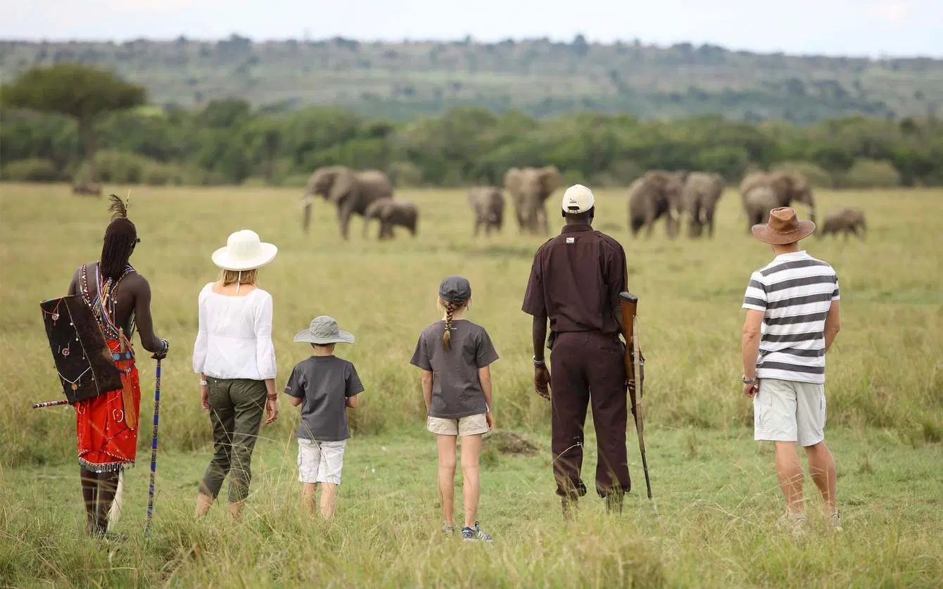 坦桑尼亚 - 坦桑尼亚家庭游猎 轻松旅行 坦桑尼亚 - 家庭游猎