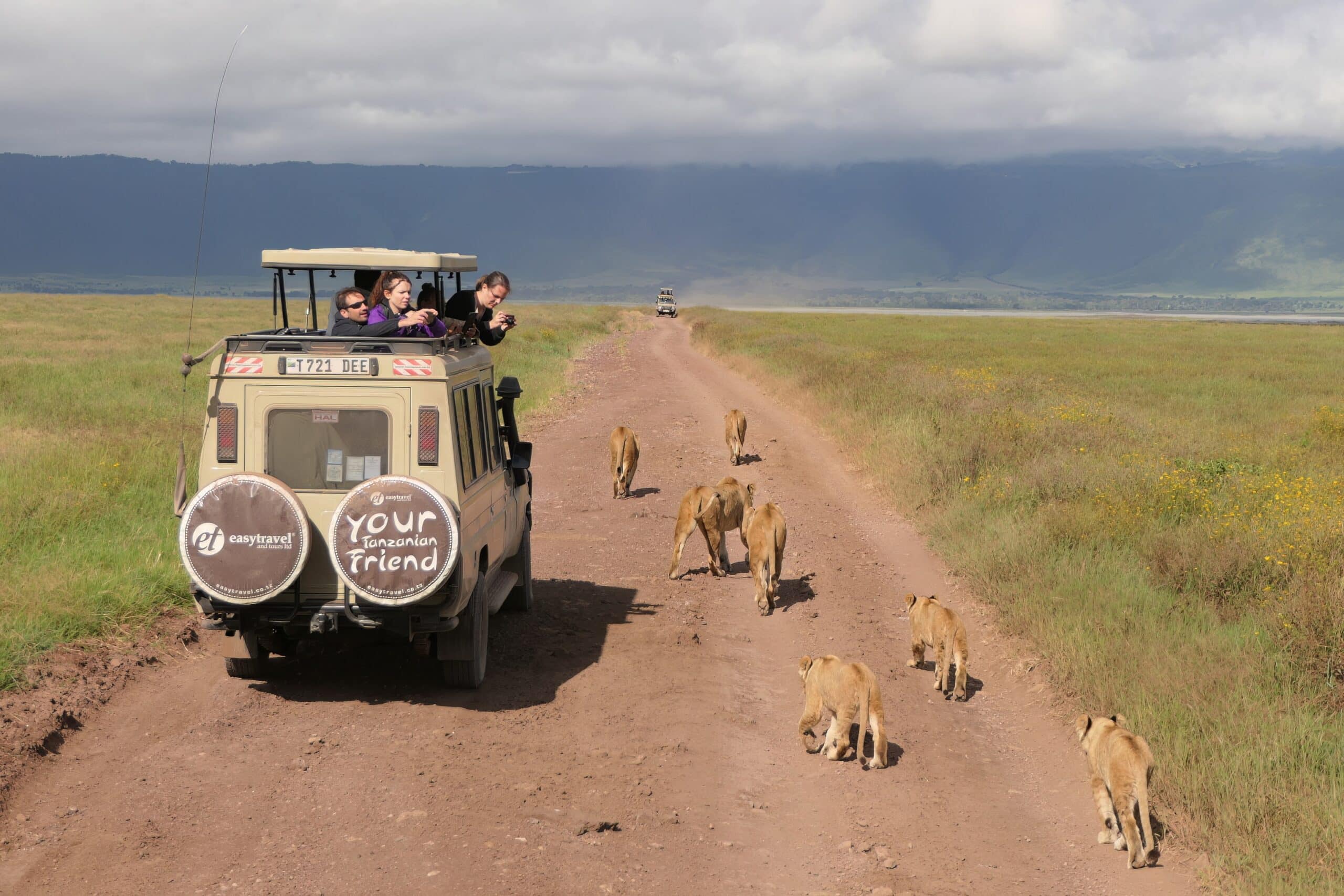 Pirschfahrt am Ngorongoro-Krater