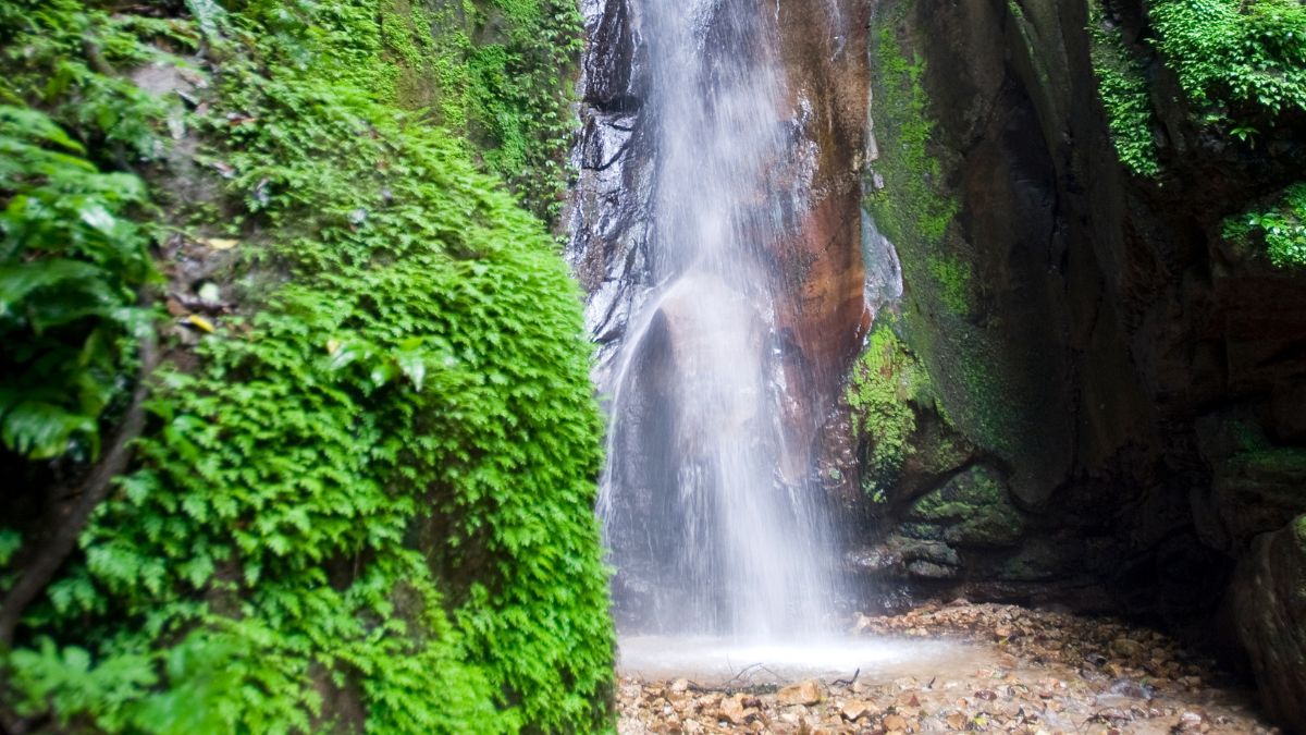 Gombe Stream National Park