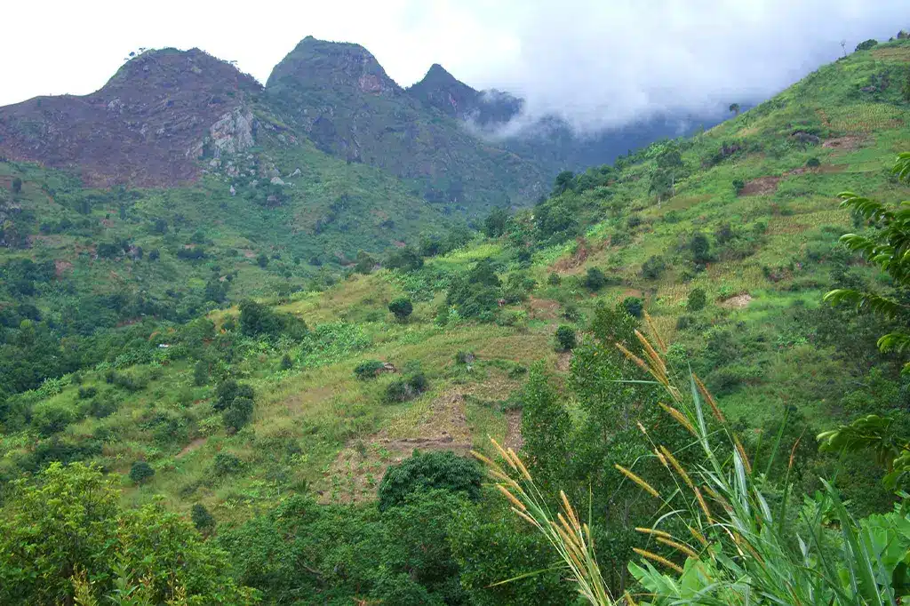 Green Uluguru Mountain Morogoro Tanzania.jpg Green Uluguru Mountain Morogoro Tanzania.jpg