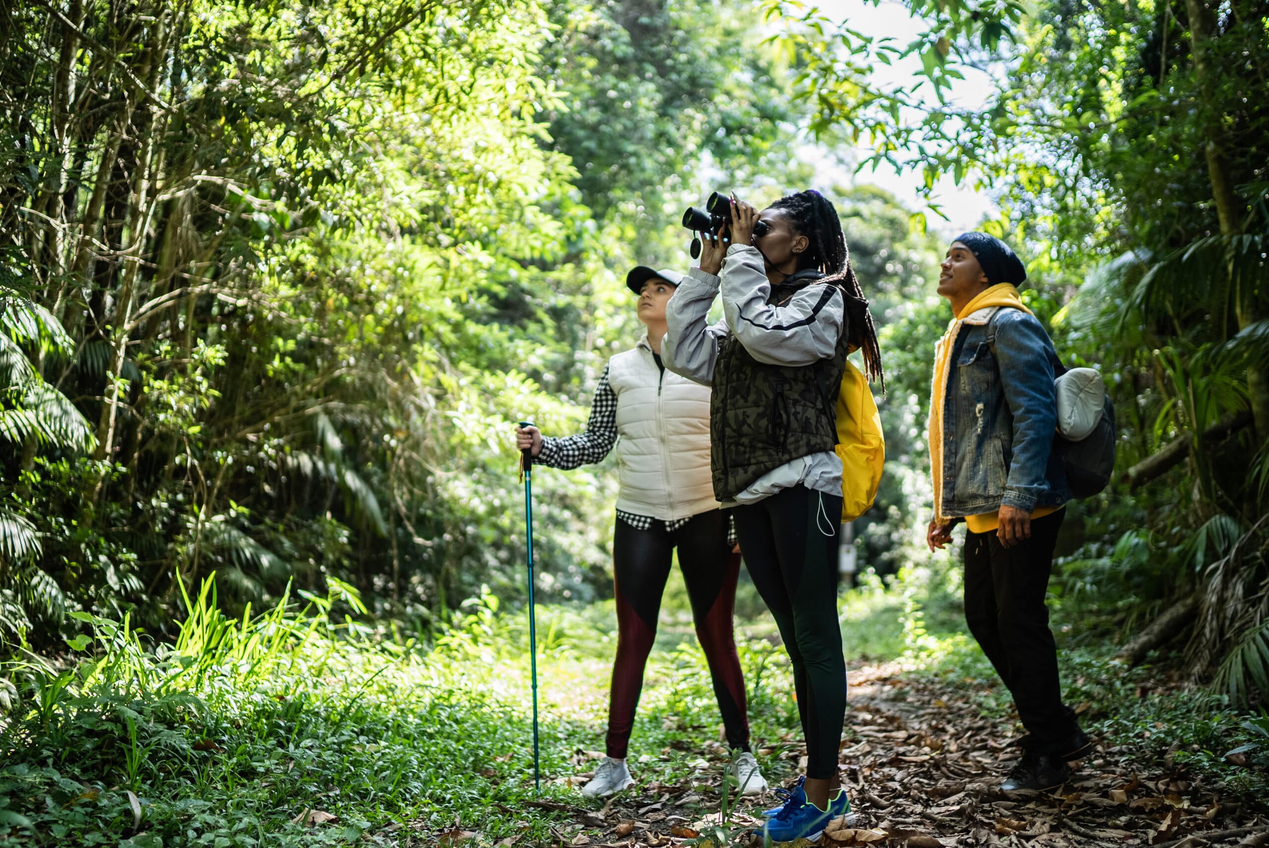 Group of visitors watching birds at Udzungwa