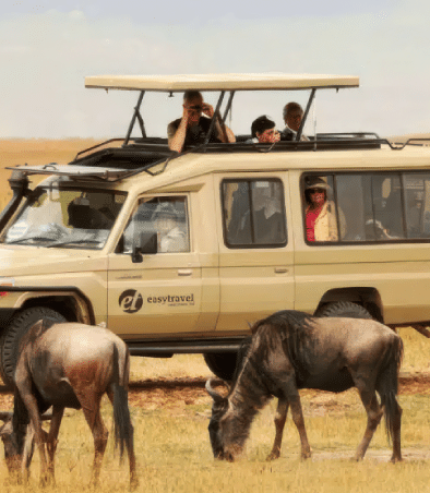 Tansania – Gäste beobachten Wildtiere im Serengeti-Nationalpark. Easy Travel Tansania 1 – Budget-Safari