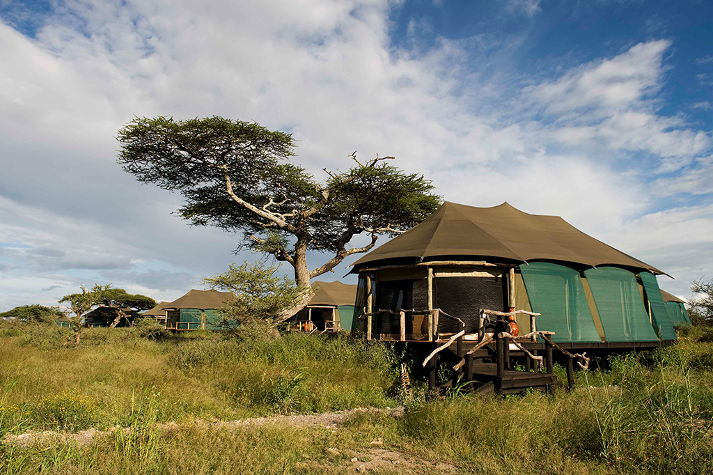 ンドゥトゥの草原の中に、高台に設えられたサファリテントが、アカシアの木々と広大な青い空を背景に広がっています。 - イージートラベルタンザニア