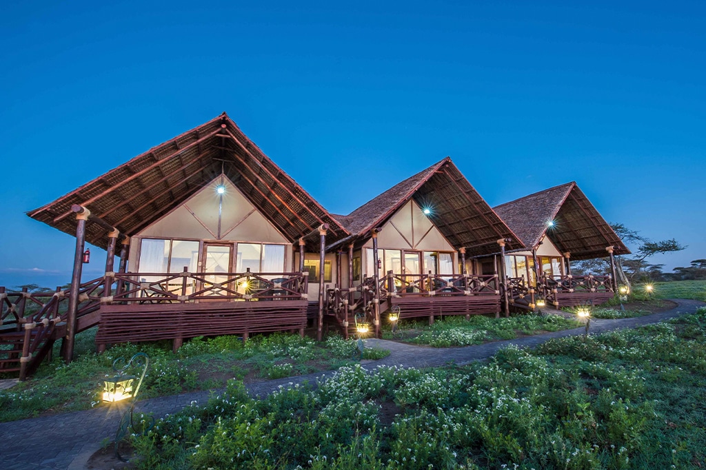 Una fila di rustiche capanne a forma di A con balconi in legno, illuminate al tramonto vicino a Ndutu. Le capanne sono circondate da una vegetazione lussureggiante e da un sentiero tortuoso, che si staglia contro il limpido cielo serale. - Easy Travel Tanzania