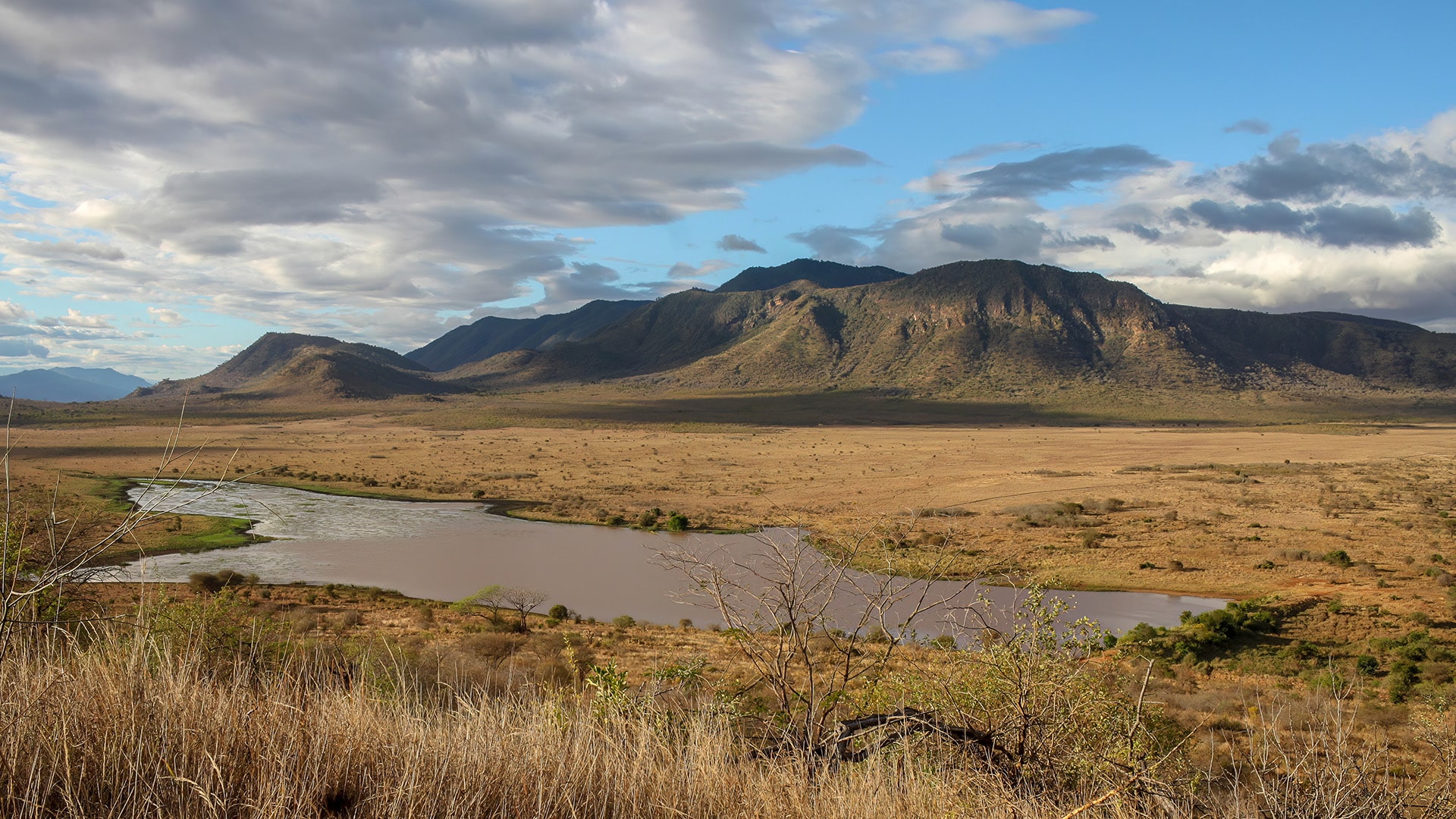 Landscape of Mkomazi National Park, Tanzania