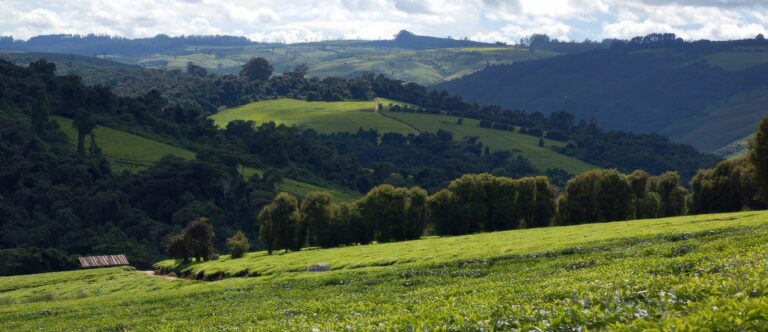 Landschaft in Mufindi