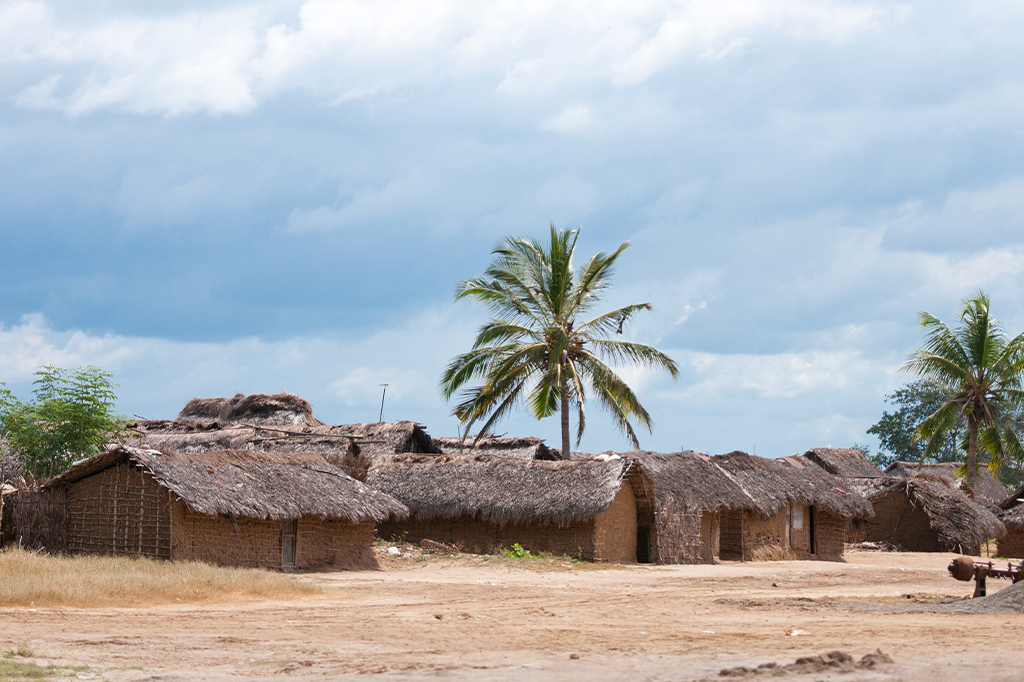 A rural scene with several small huts made of mud and thatch under a cloudy sky evokes the tranquil essence of saadani national park. Tall palm trees stand among the huts, and the ground is dry and sandy. - easy travel tanzania