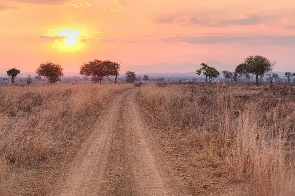 Mikumi National Park Tanzania.jpg Mikumi National Park Tanzania.jpg