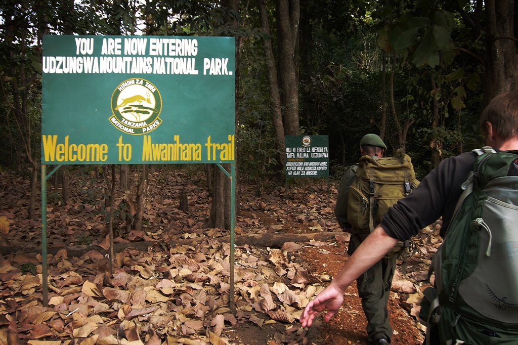 Mwanihana trail at Udzungwa Mountains, Tanzania