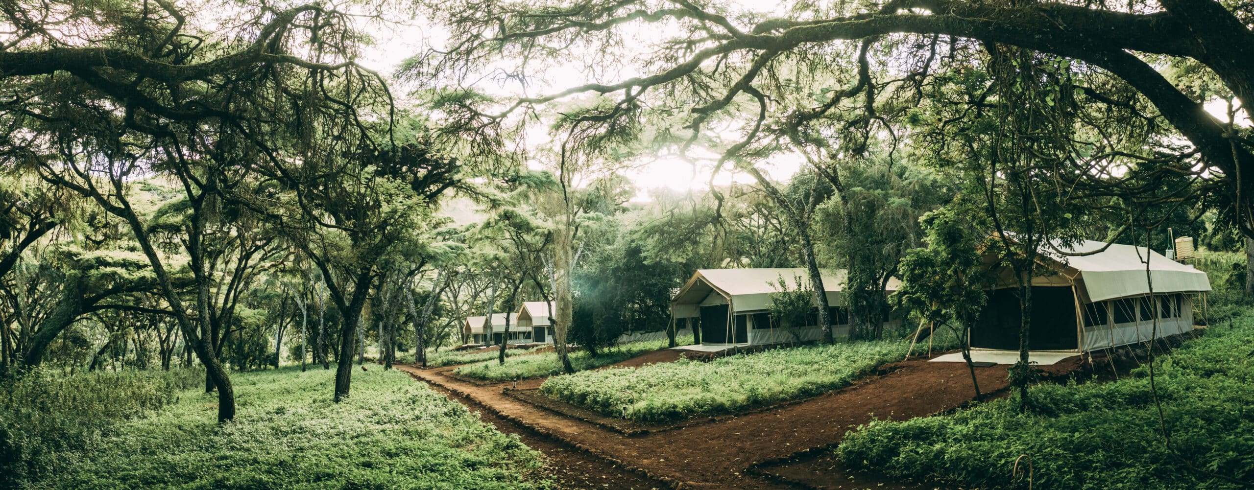 Ngorongoro Tortilis Camp