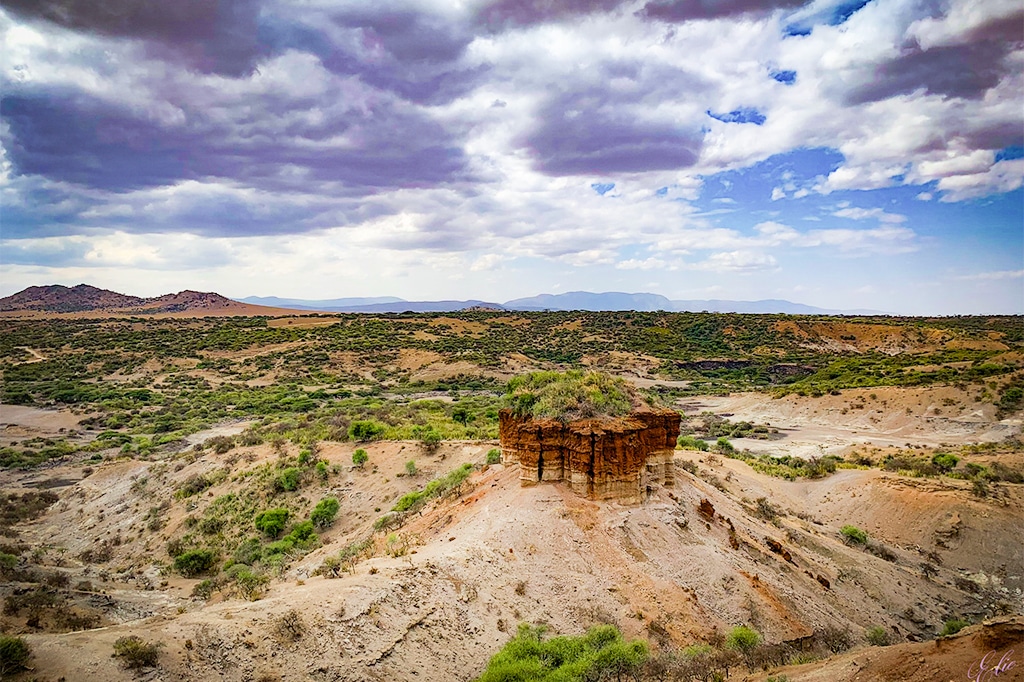 タンザニア、ンゴロンゴロのオルドバイ渓谷