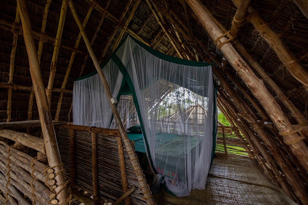 Зал кораллового парка острова Чумбе на Занзибаре