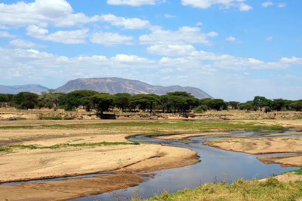 Parc national de Ruaha, rivière Ruaha, Tanzanie.jpg Parc national de Ruaha, rivière Ruaha, Tanzanie.jpg