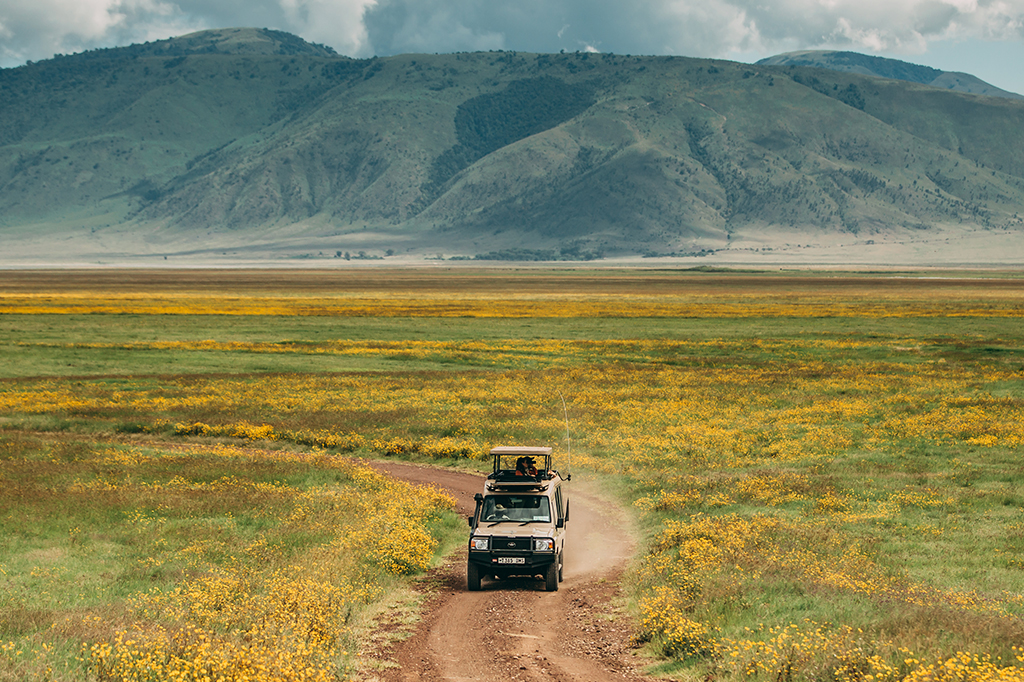 恩戈罗恩戈罗火山口内的野生动物园 Easy Travel Tanzania 1 五月,跟随 Easy Travel 前往坦桑尼亚恩戈罗恩戈罗火山口探险