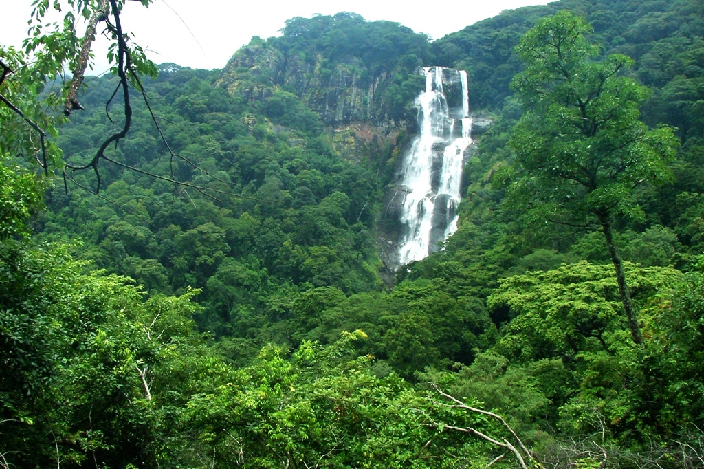 Sanje Waterfall at Udzungwa Mountains, Tanzania