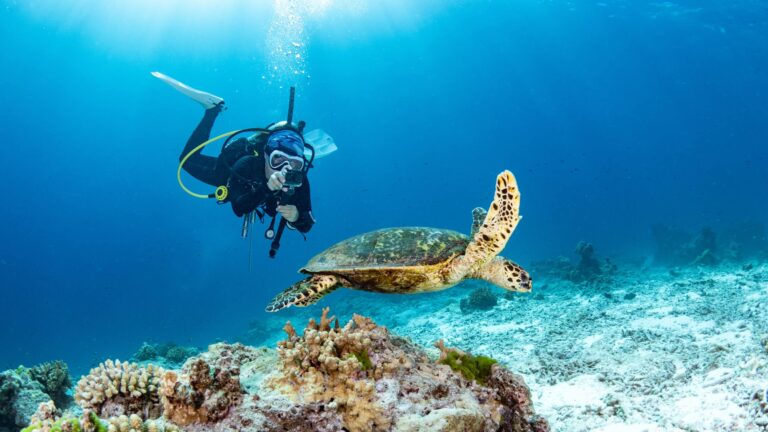 Buceo en la playa de Pongwe, Zanzíbar