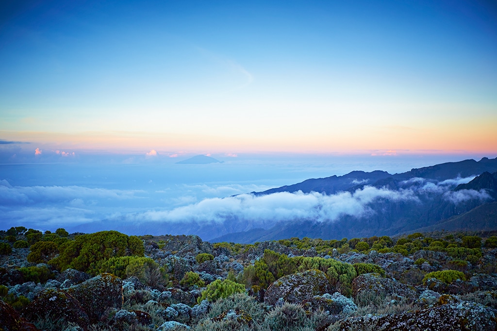 Das Shira-Plateau im Westen des Kilimandscharo, Tansania