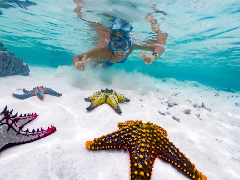 Snorkling med sjöstjärnor på Pongwe Beach