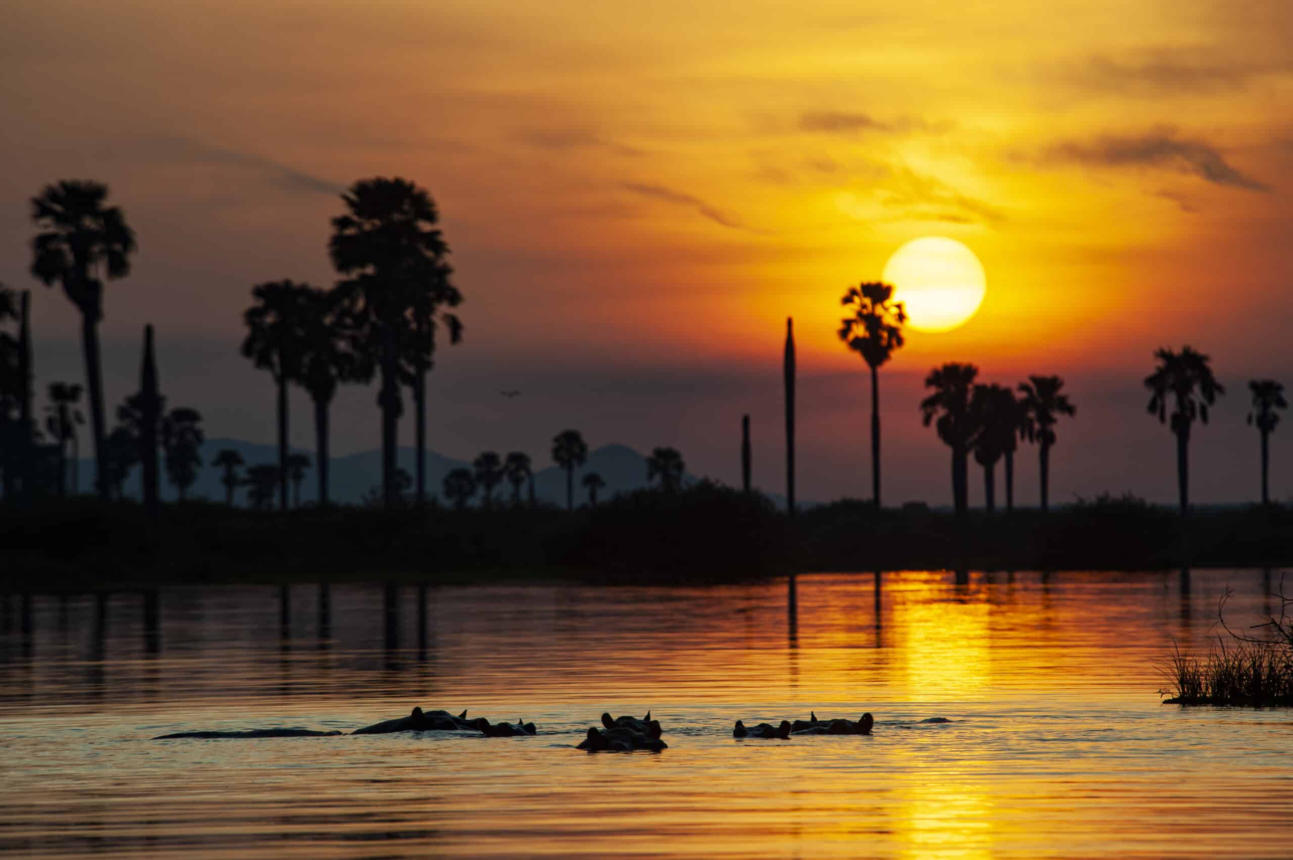 Stunning sunset in Nyerere National Park