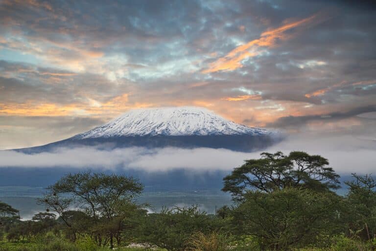 Gipfelblick auf den Kilimandscharo vom West-Kilimandscharo aus