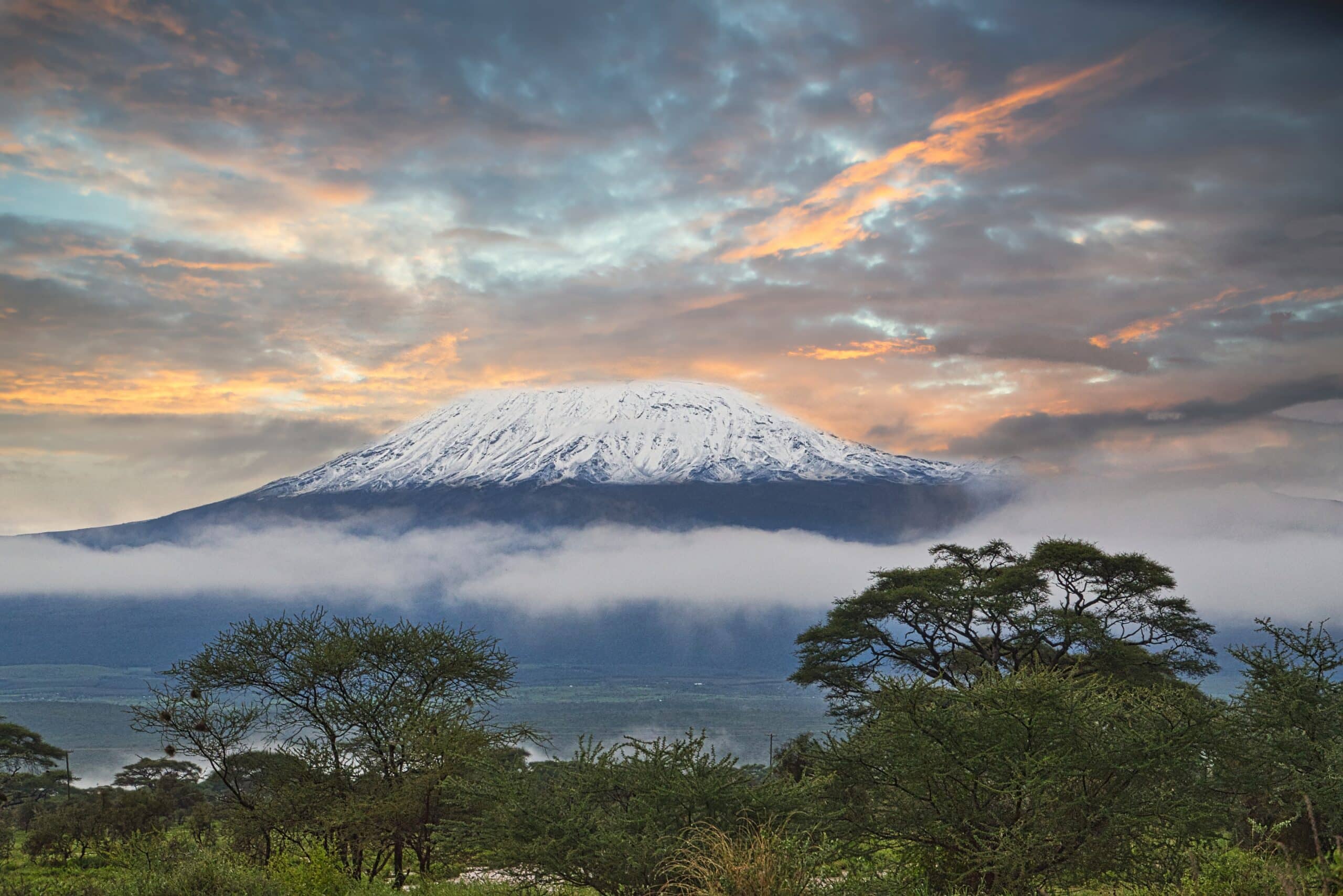 Vue du sommet du mont Kilimandjaro depuis le Kilimandjaro occidental