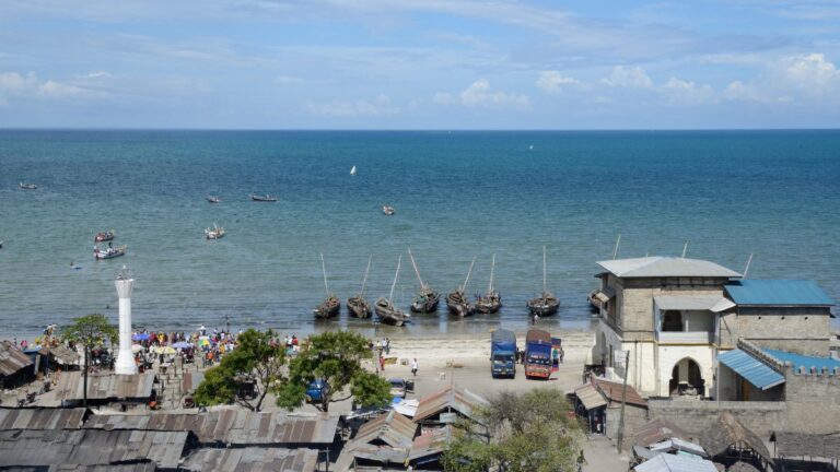 Luftaufnahme einer Küstenstadt mit traditionellen Booten am Sandstrand, Menschenansammlungen am Ufer und Gebäuden mit Wellblechdächern. Im Hintergrund das ruhige blaue Meer und der klare Himmel. – Easy Travel Tanzania