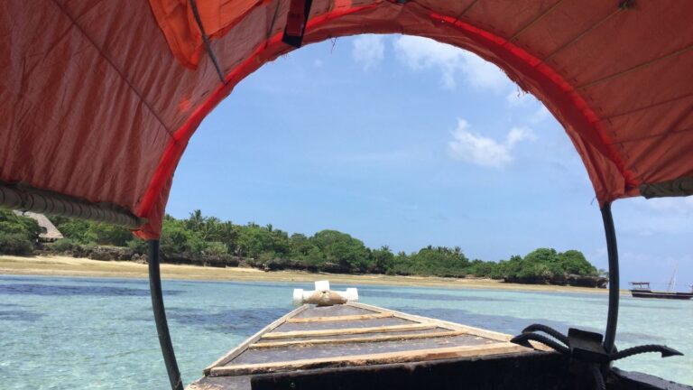The Best Things to Do in Chapwani Island