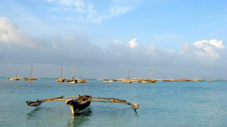Tanzania: las mejores cosas para hacer en la playa de Dongwe - blog | viaje fácil