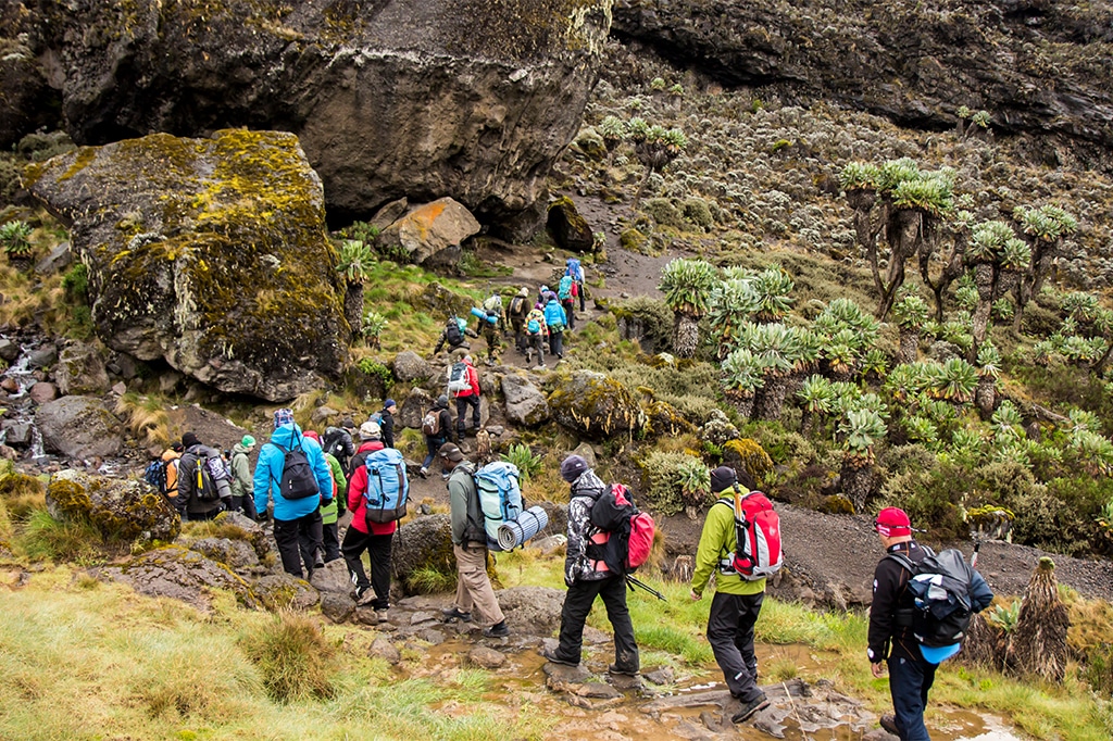游客和徒步队伍正在攀登坦桑尼亚马查姆路线上的巴兰科营地