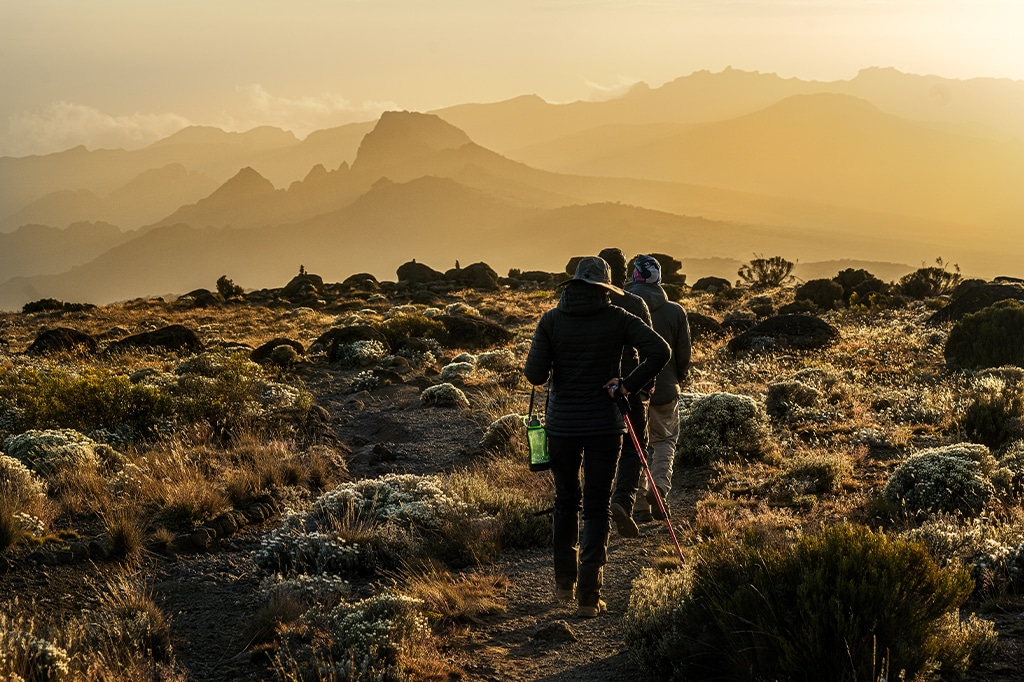 游客徒步穿越坦桑尼亚乞力马扎罗山风景秀丽的小径