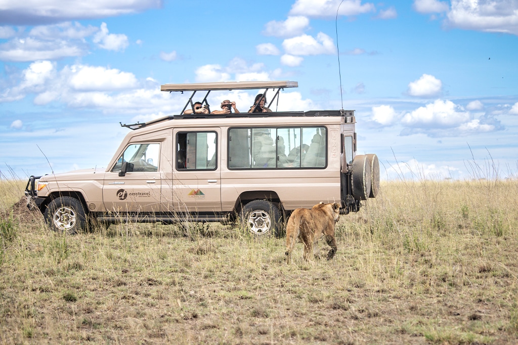 Toeristen in een Easy Travel Safari-voertuig bekijken een leeuw in het Serengeti National Park, Tanzania