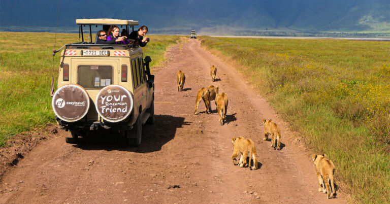 Toeristen op een gamedrive in de Ngorongoro-krater, Tanzania